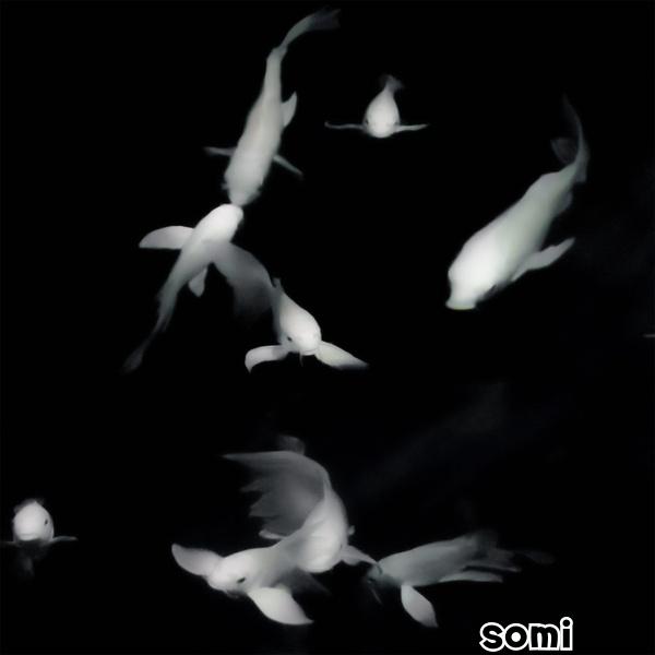 Image Cover